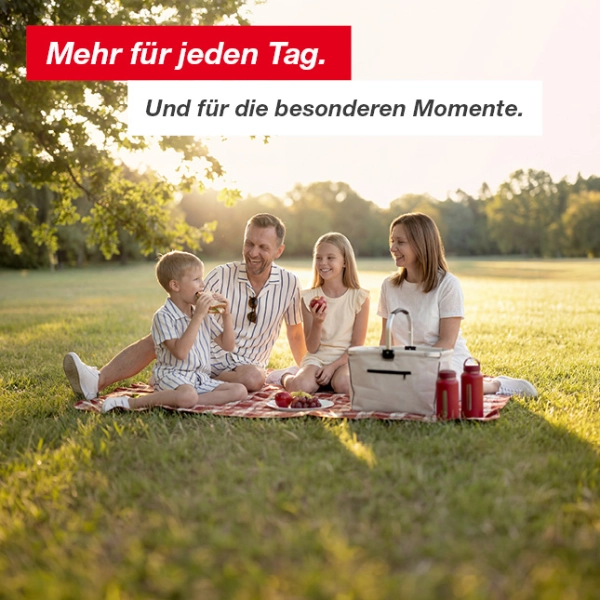 Vierköpfige Familie genießt ein Picknick auf einer Decke in einem sonnigen Park mit Bäumen und weiter Rasenfläche.