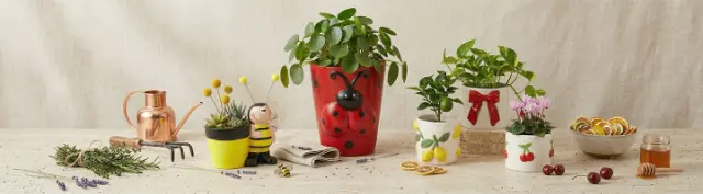 Dekorative Blumentöpfe und Pflanzengefäße mit Zimmerpflanzen und Gartenzubehör auf Tisch arrangiert – bringen frische, farbenfrohe Akzente und natürliche Atmosphäre ins Zuhause