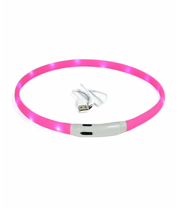 LED-Leuchthalsband für Hunde