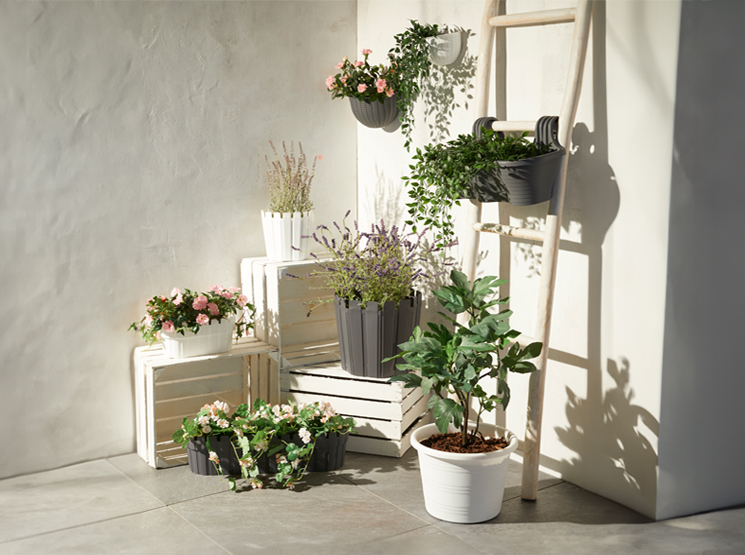 Blütenpracht für Garten und Balkon