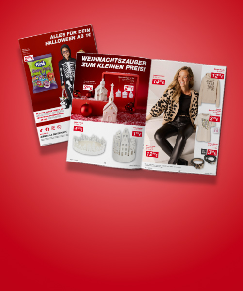 Ein Werbefoto mit Halloween- und Weihnachtsartikeln, darunter Dekorationen und Kleidung, vor rotem Hintergrund. Preise hervorgehoben.